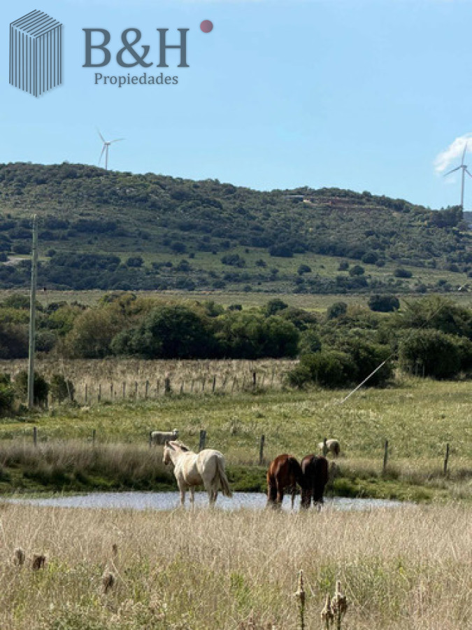 Campo Ref.7759 -  Campo en Maldonado - 