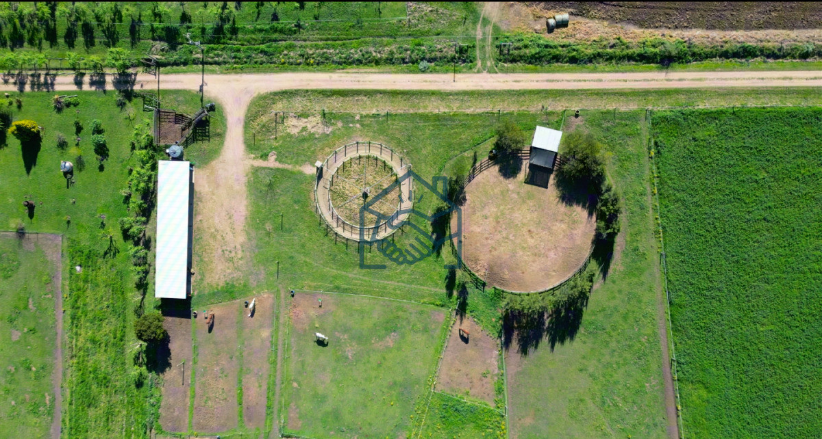 Chacra ID.1564/VENTA-|-Campo-en-Los-Cerrillos-con-33-ha-|-IC-233 - VENTA | Campo en Los Cerrillos con 33 ha | IC 233