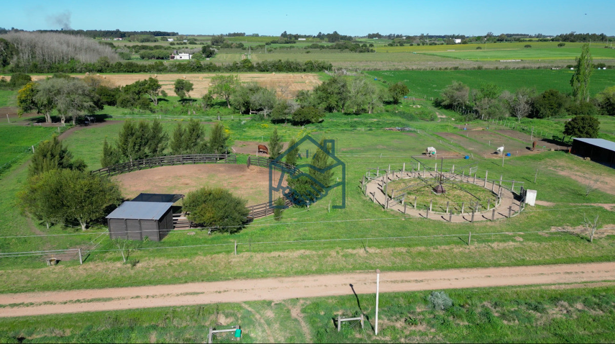 Chacra ID.1564/VENTA-|-Campo-en-Los-Cerrillos-con-33-ha-|-IC-233 - VENTA | Campo en Los Cerrillos con 33 ha | IC 233