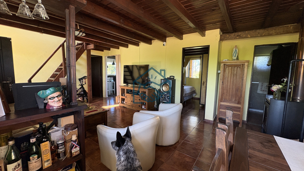 Chacra ID.1564/VENTA-|-Campo-en-Los-Cerrillos-con-33-ha-|-IC-233 - VENTA | Campo en Los Cerrillos con 33 ha | IC 233