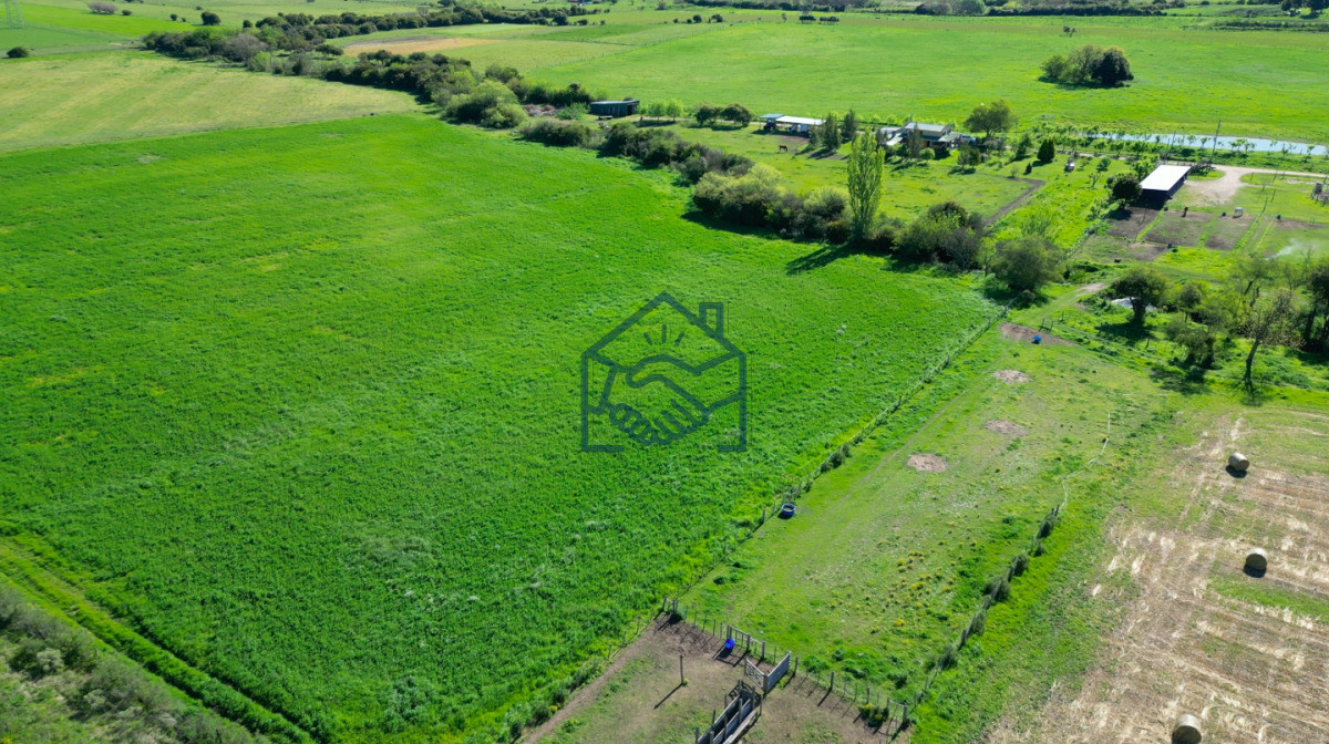 Chacra ID.1564/VENTA-|-Campo-en-Los-Cerrillos-con-33-ha-|-IC-233 - VENTA | Campo en Los Cerrillos con 33 ha | IC 233