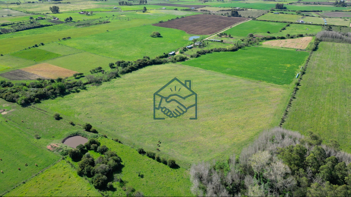 Chacra ID.1564/VENTA-|-Campo-en-Los-Cerrillos-con-33-ha-|-IC-233 - VENTA | Campo en Los Cerrillos con 33 ha | IC 233