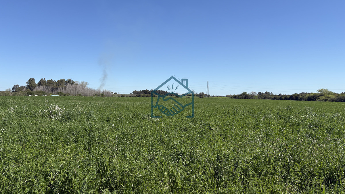 Chacra ID.1564/VENTA-|-Campo-en-Los-Cerrillos-con-33-ha-|-IC-233 - VENTA | Campo en Los Cerrillos con 33 ha | IC 233