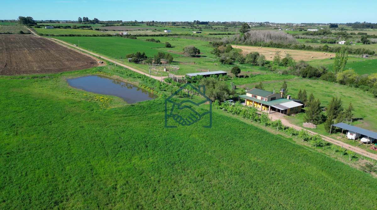 Chacra ID.1564/VENTA-|-Campo-en-Los-Cerrillos-con-33-ha-|-IC-233 - VENTA | Campo en Los Cerrillos con 33 ha | IC 233