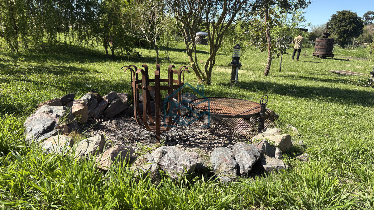 Chacra ID.1564/VENTA-|-Campo-en-Los-Cerrillos-con-33-ha-|-IC-233 - VENTA | Campo en Los Cerrillos con 33 ha | IC 233