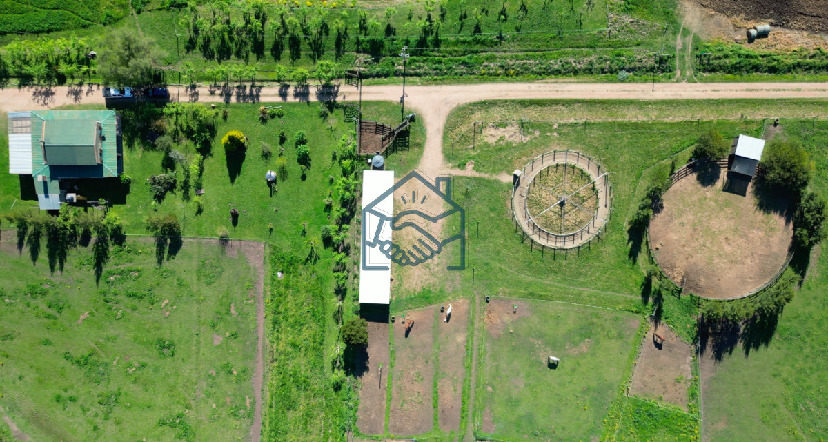 Chacra ID.1564/VENTA-|-Campo-en-Los-Cerrillos-con-33-ha-|-IC-233 - VENTA | Campo en Los Cerrillos con 33 ha | IC 233