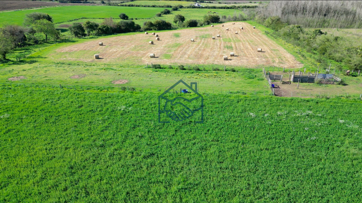 Chacra ID.1564/VENTA-|-Campo-en-Los-Cerrillos-con-33-ha-|-IC-233 - VENTA | Campo en Los Cerrillos con 33 ha | IC 233