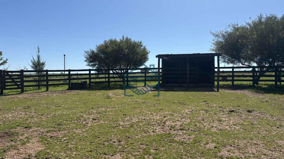 Chacra ID.1564/VENTA-|-Campo-en-Los-Cerrillos-con-33-ha-|-IC-233 - VENTA | Campo en Los Cerrillos con 33 ha | IC 233