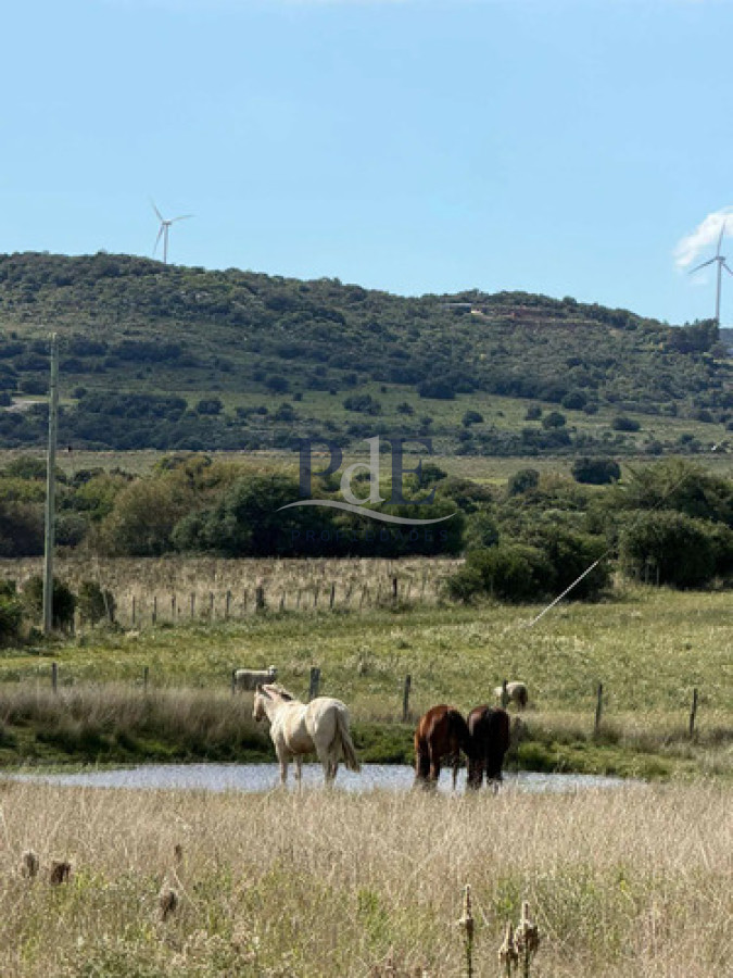 Chacra en venta | 5 Hectáreas con costa de arroyo y domo, Pueblo Edén
