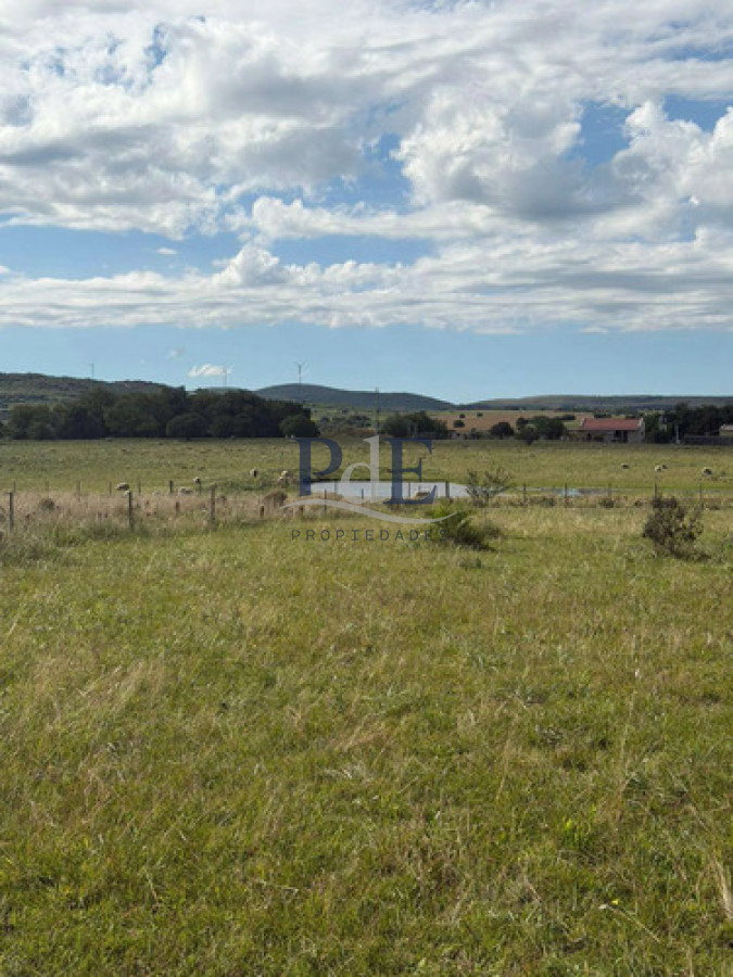 Chacra en venta | 5 Hectáreas con costa de arroyo y domo, Pueblo Edén - Imagen 15