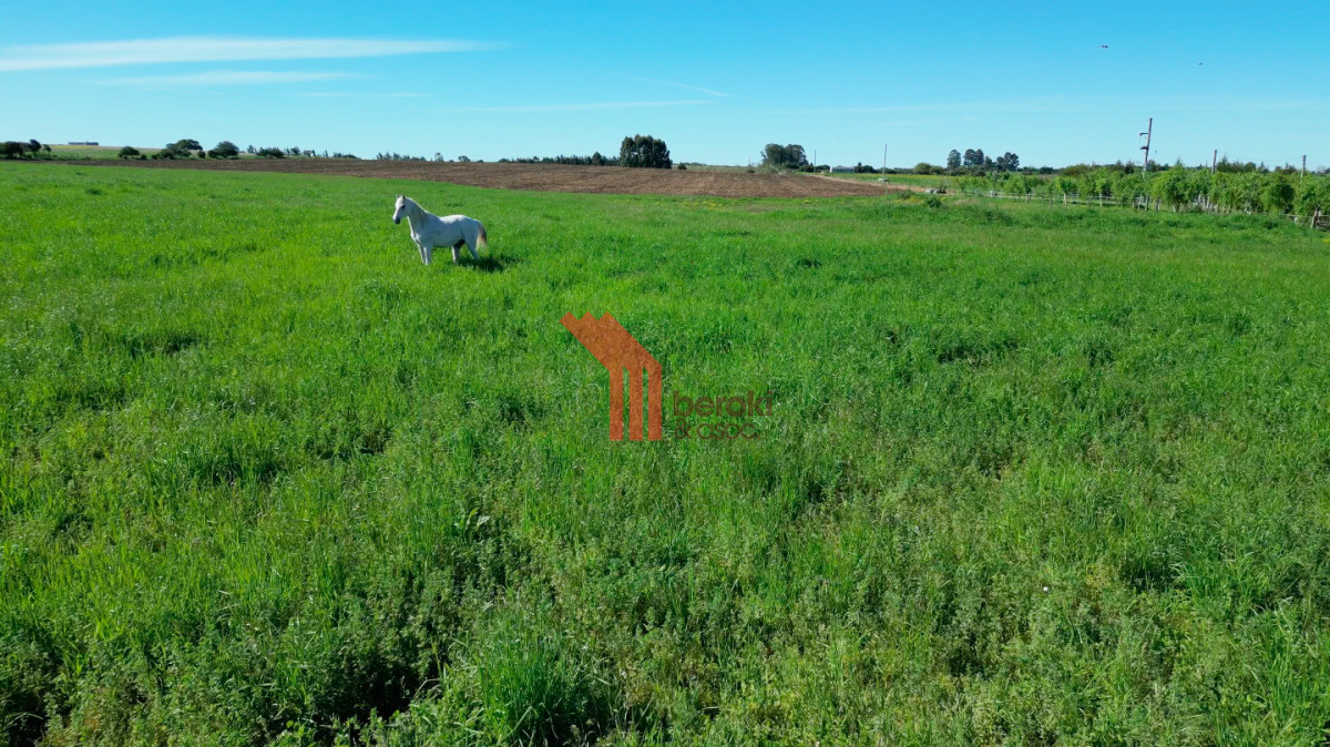 Chacra ID.44 - VENTA | Campo en Los Cerrillos con 33 ha | IC 233