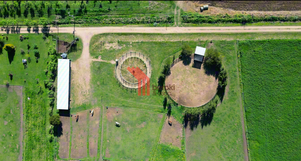 Chacra ID.44 - VENTA | Campo en Los Cerrillos con 33 ha | IC 233