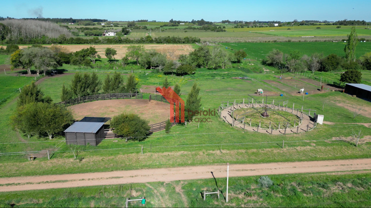 Chacra ID.44 - VENTA | Campo en Los Cerrillos con 33 ha | IC 233