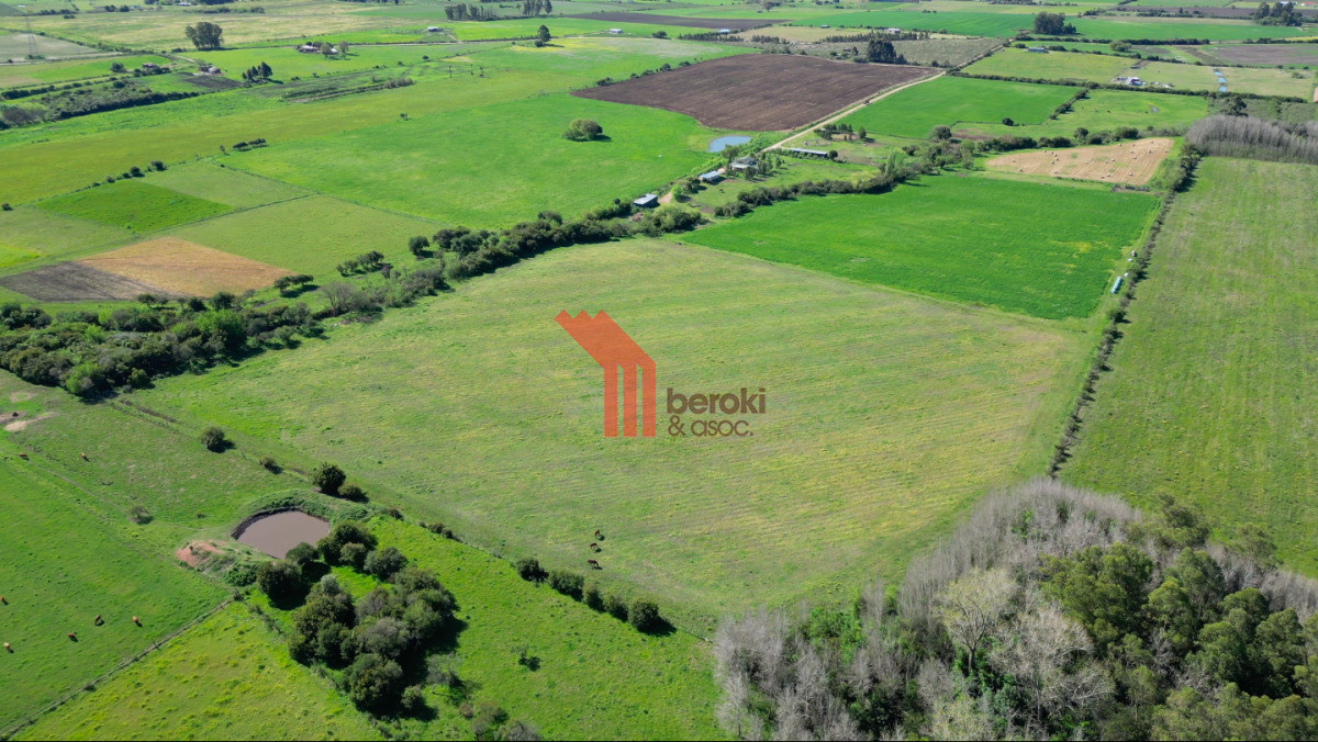 Chacra ID.44 - VENTA | Campo en Los Cerrillos con 33 ha | IC 233