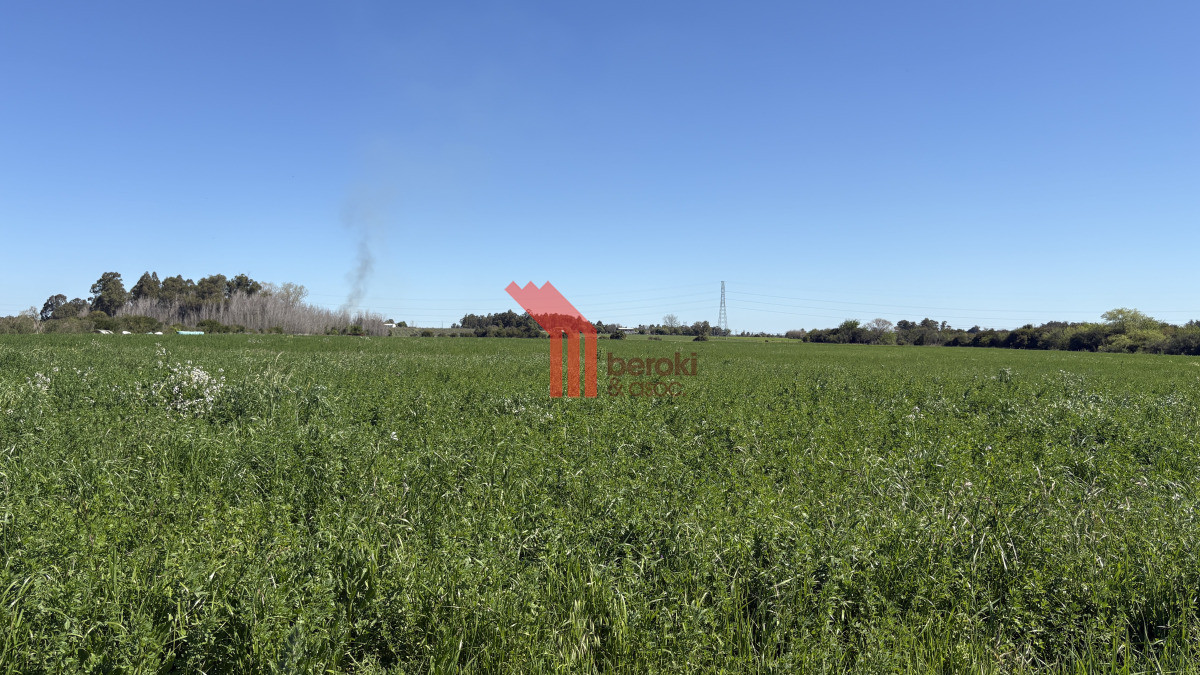 Chacra ID.44 - VENTA | Campo en Los Cerrillos con 33 ha | IC 233