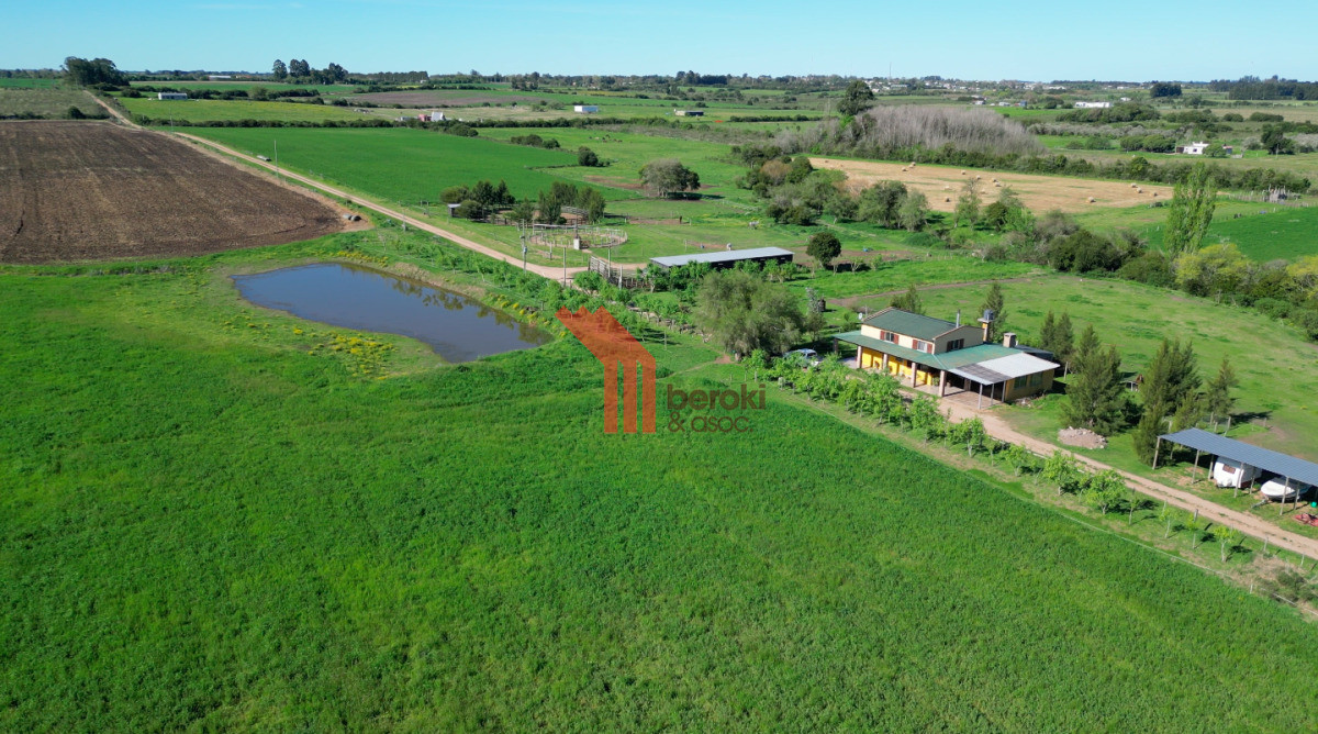 Chacra ID.44 - VENTA | Campo en Los Cerrillos con 33 ha | IC 233