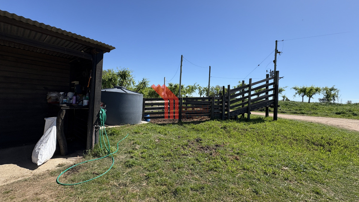 Chacra ID.44 - VENTA | Campo en Los Cerrillos con 33 ha | IC 233