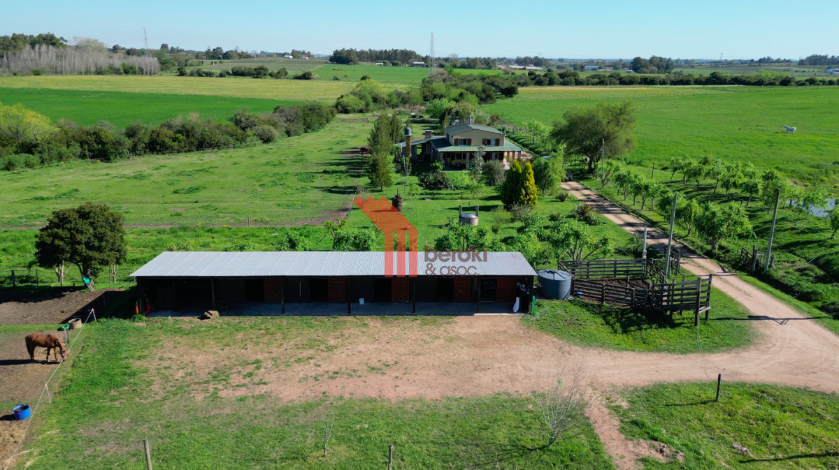 Chacra ID.44 - VENTA | Campo en Los Cerrillos con 33 ha | IC 233