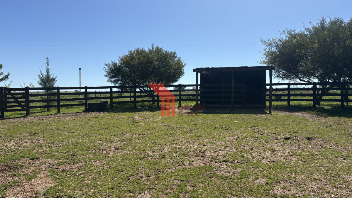 Chacra ID.44 - VENTA | Campo en Los Cerrillos con 33 ha | IC 233