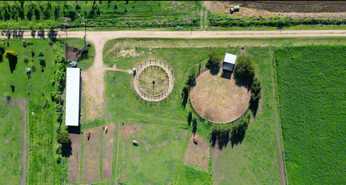 Chacra ID.5025 - VENTA | Campo en Los Cerrillos con 33 ha | IC 233