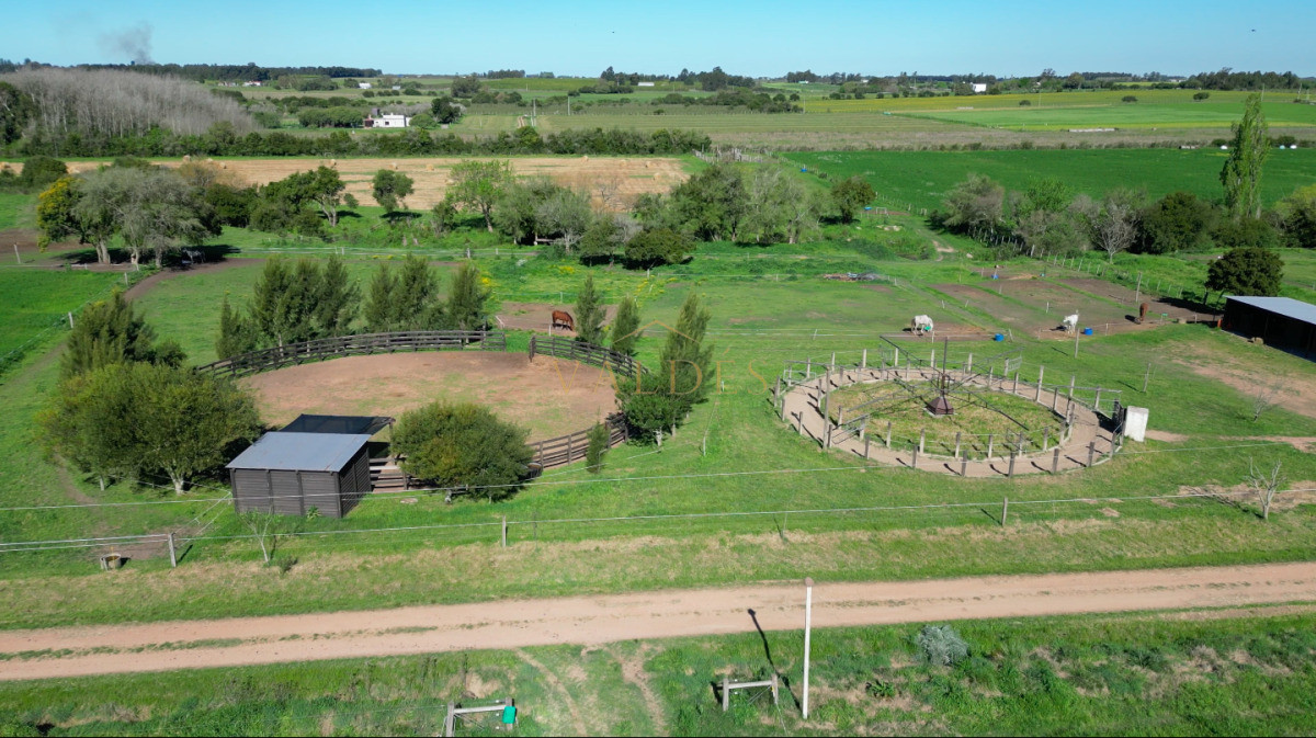 Chacra ID.5025 - VENTA | Campo en Los Cerrillos con 33 ha | IC 233