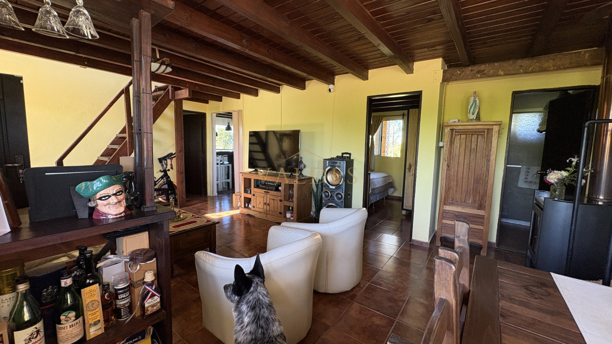 Chacra ID.5025 - VENTA | Campo en Los Cerrillos con 33 ha | IC 233