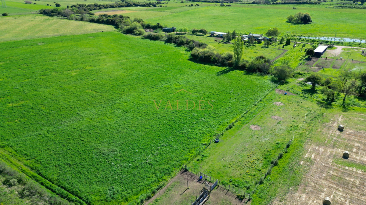 Chacra ID.5025 - VENTA | Campo en Los Cerrillos con 33 ha | IC 233
