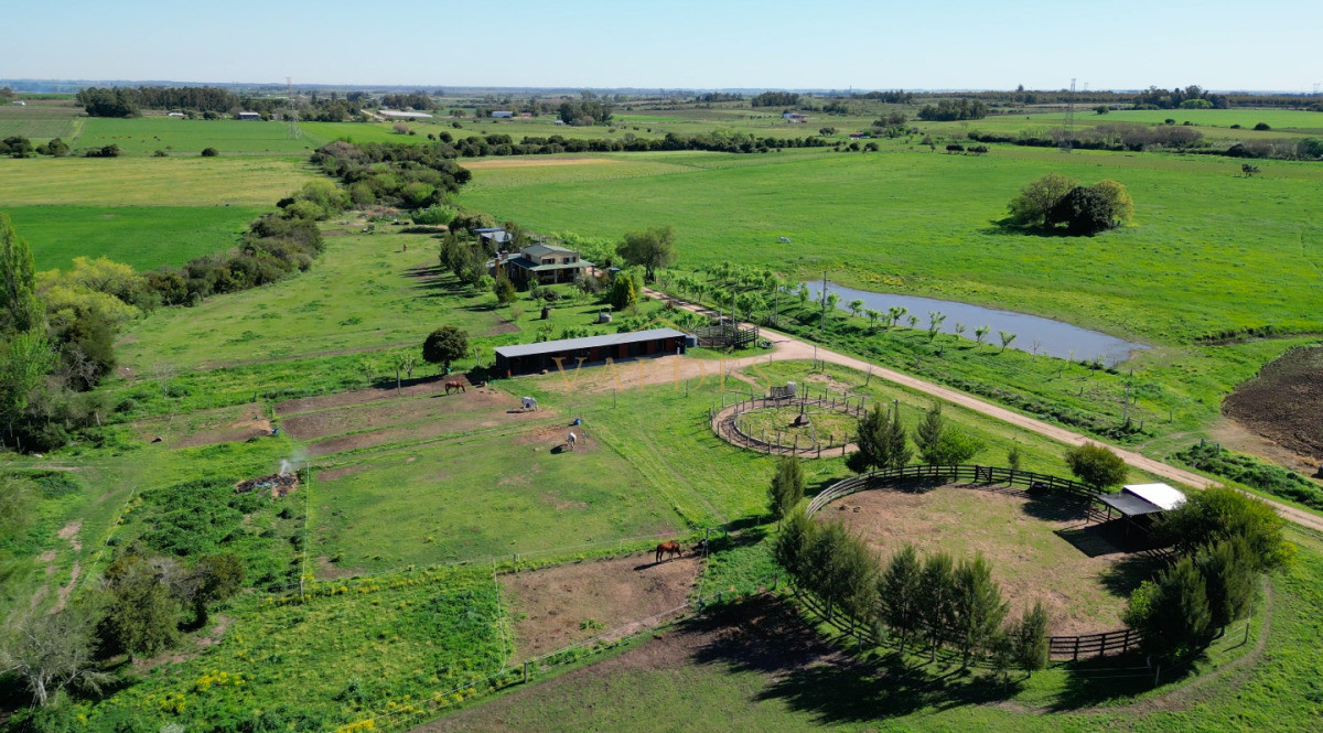 Chacra ID.5025 - VENTA | Campo en Los Cerrillos con 33 ha | IC 233