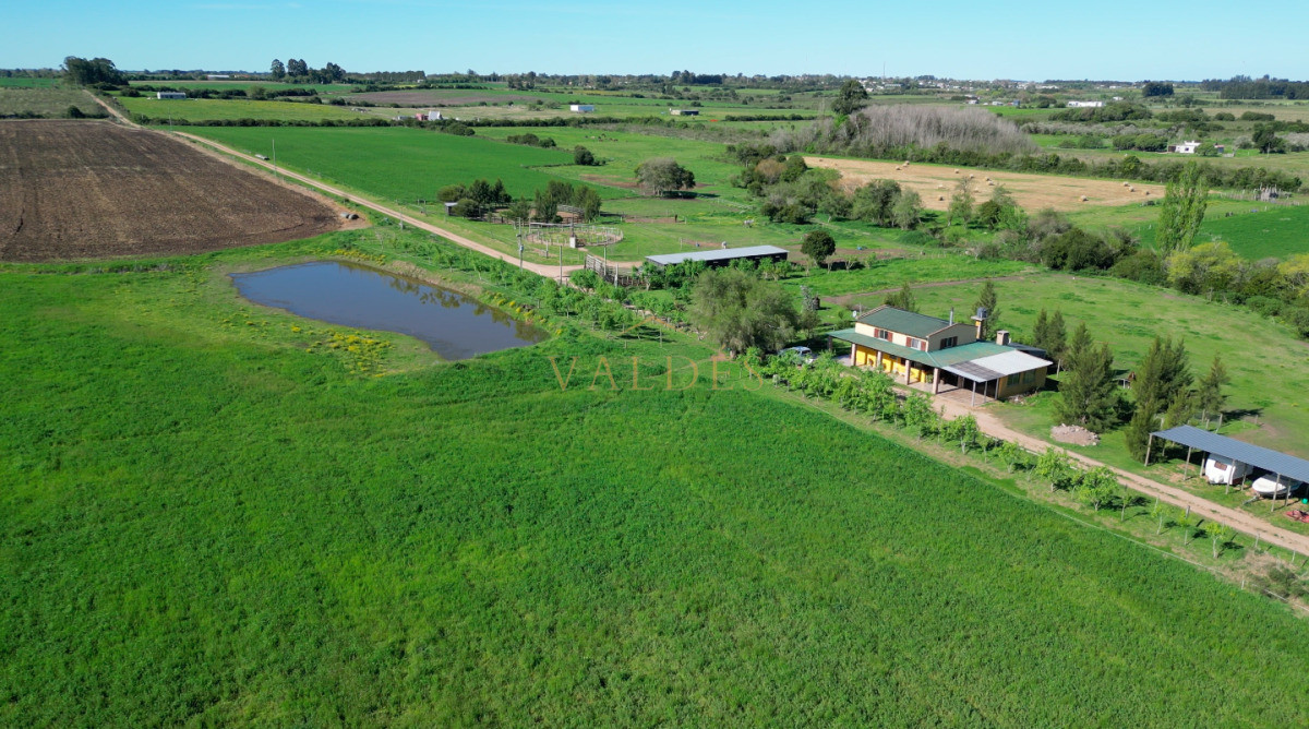 Chacra ID.5025 - VENTA | Campo en Los Cerrillos con 33 ha | IC 233