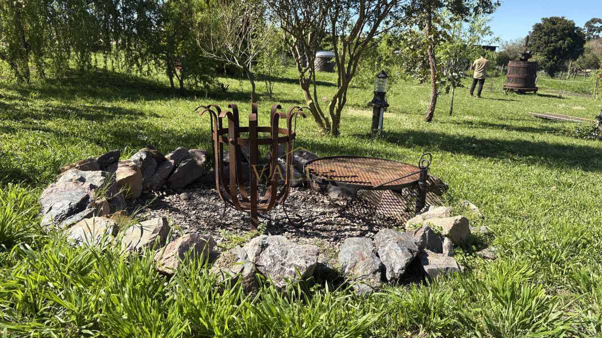 Chacra ID.5025 - VENTA | Campo en Los Cerrillos con 33 ha | IC 233
