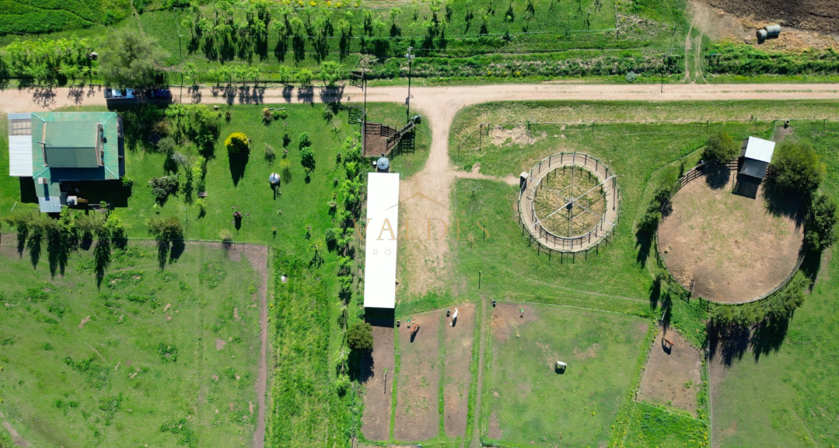 Chacra ID.5025 - VENTA | Campo en Los Cerrillos con 33 ha | IC 233