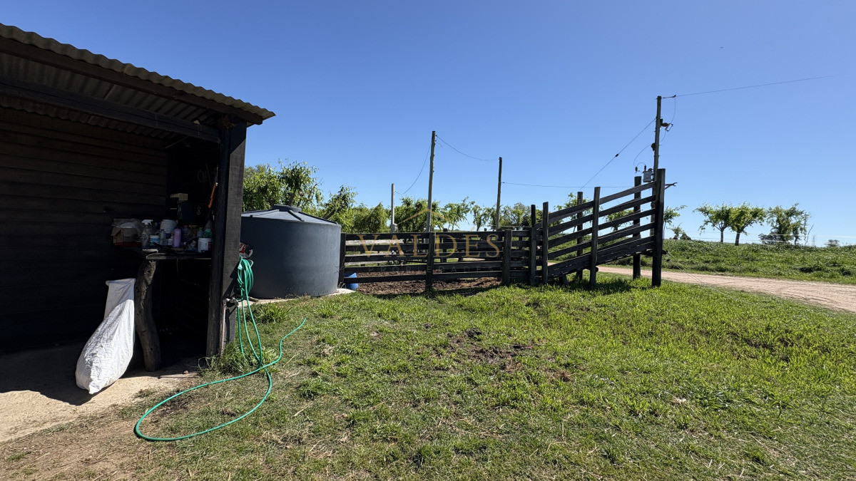 Chacra ID.5025 - VENTA | Campo en Los Cerrillos con 33 ha | IC 233