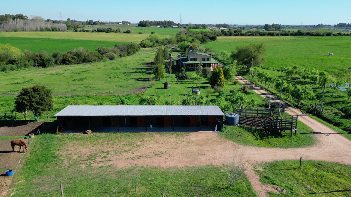 Chacra ID.5025 - VENTA | Campo en Los Cerrillos con 33 ha | IC 233