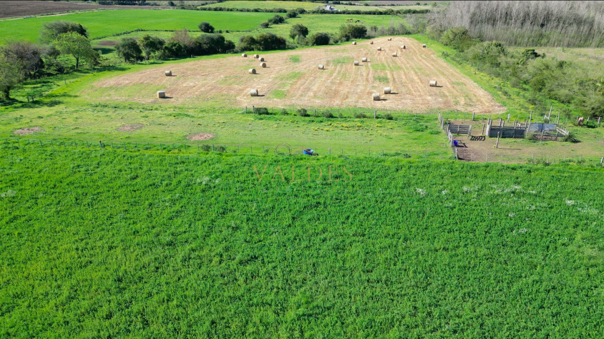 Chacra ID.5025 - VENTA | Campo en Los Cerrillos con 33 ha | IC 233