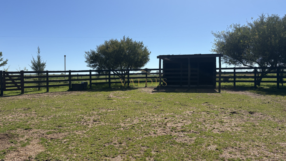 Chacra ID.5025 - VENTA | Campo en Los Cerrillos con 33 ha | IC 233
