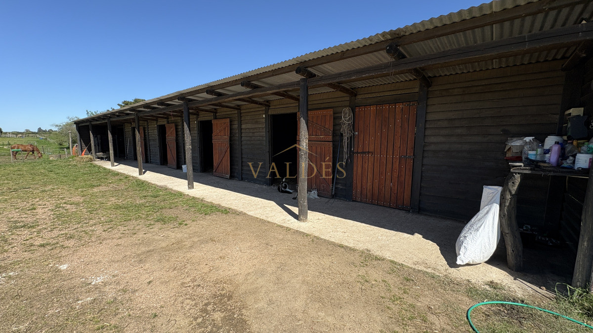 Chacra ID.5025 - VENTA | Campo en Los Cerrillos con 33 ha | IC 233