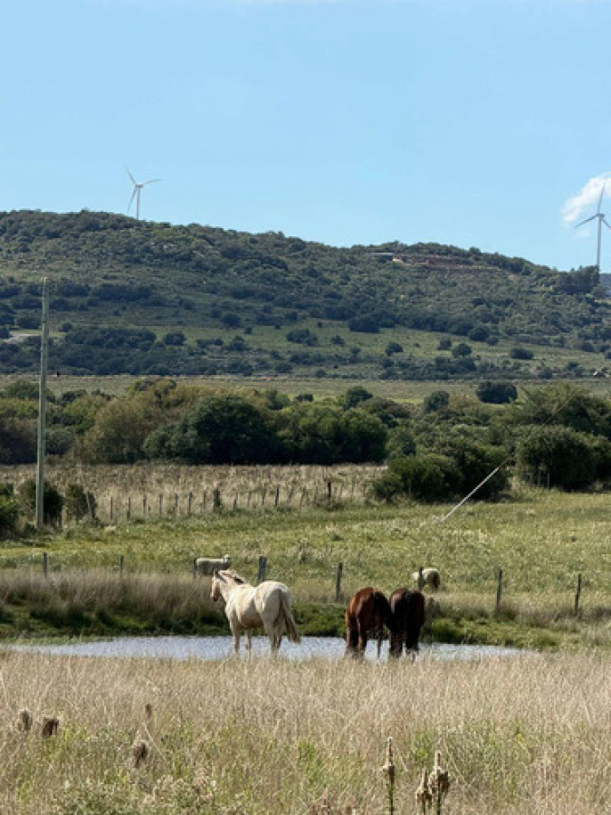 Imagen de Chacra en venta | 5 Hectáreas con costa de arroyo y domo, Pueblo Edén
