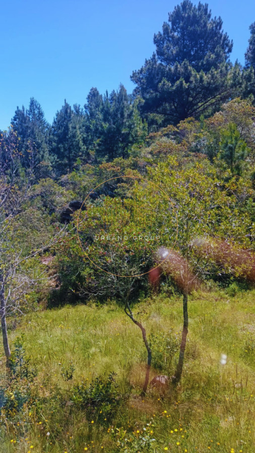 Chacra ID.79 - Chacra de 2 casas en Minas Lavalleja 