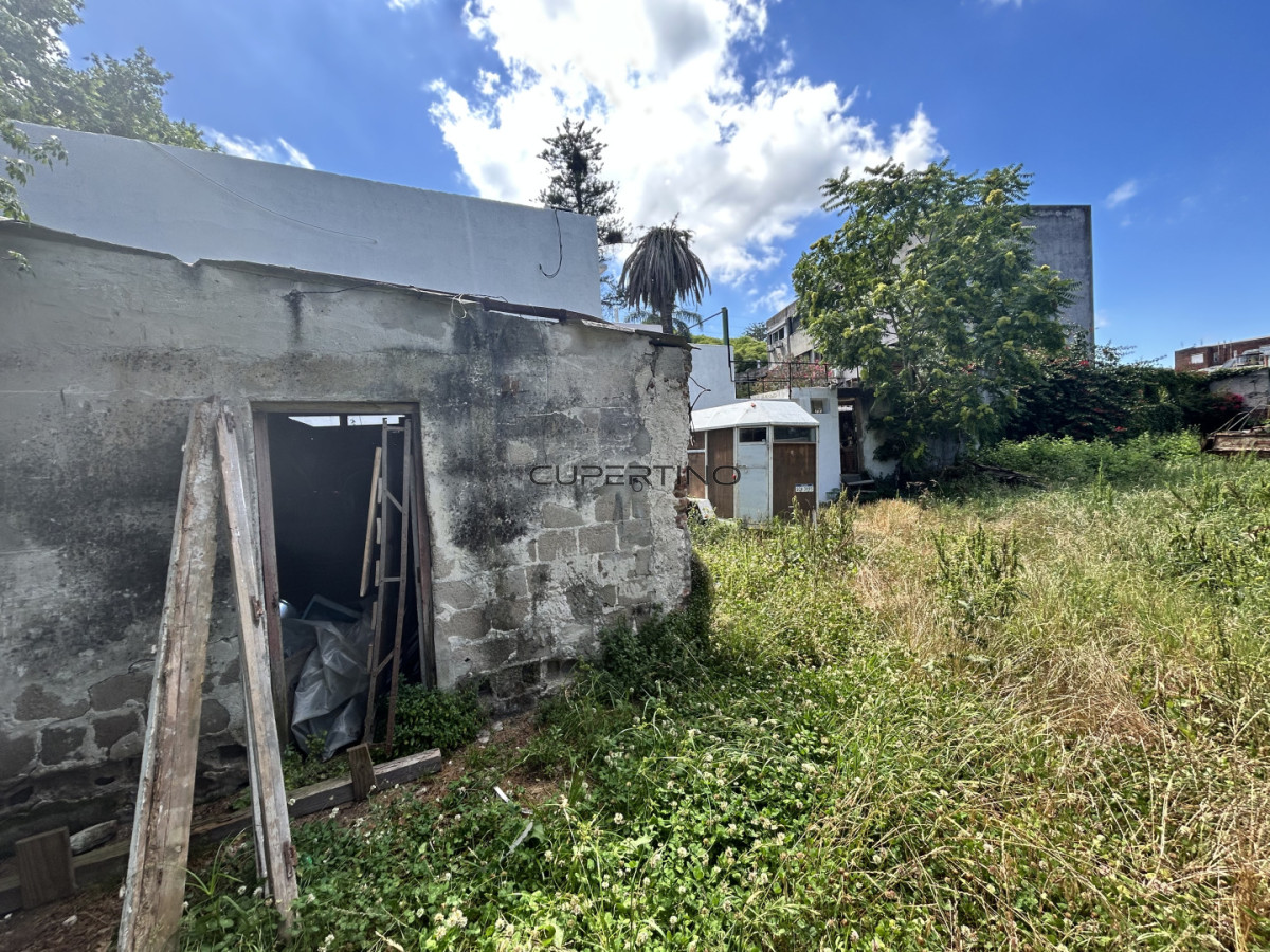 Oportunidad Terreno en Prado — foto 8