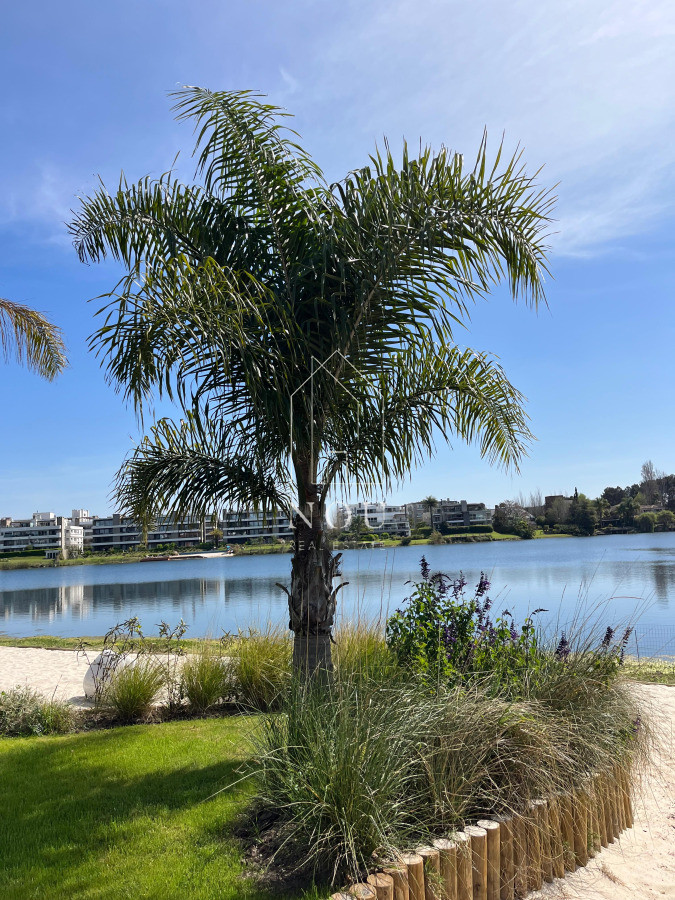 Apartamento ID.78 - Monoambiente a Estrenar en LAWA - Frente, con Terraza | Barra de Carrasco