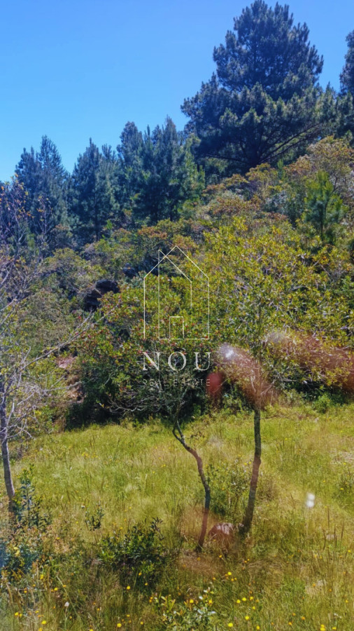 Chacra ID.113 - Chacra de 2 casas en Minas Lavalleja 