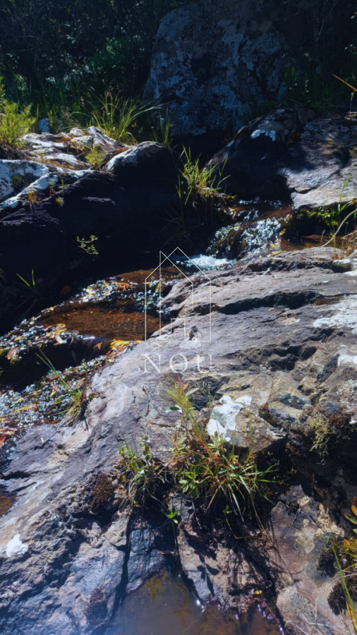 Chacra ID.113 - Chacra de 2 casas en Minas Lavalleja 