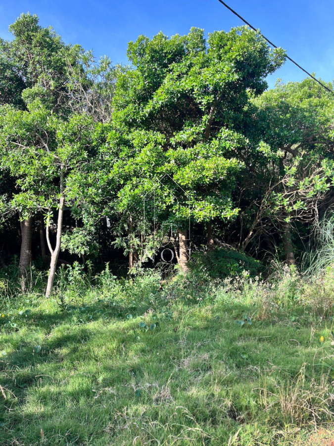 Terreno ID.136 - Terreno en venta en exclusiva zona de Santa Ana Canelones con salida al mar.