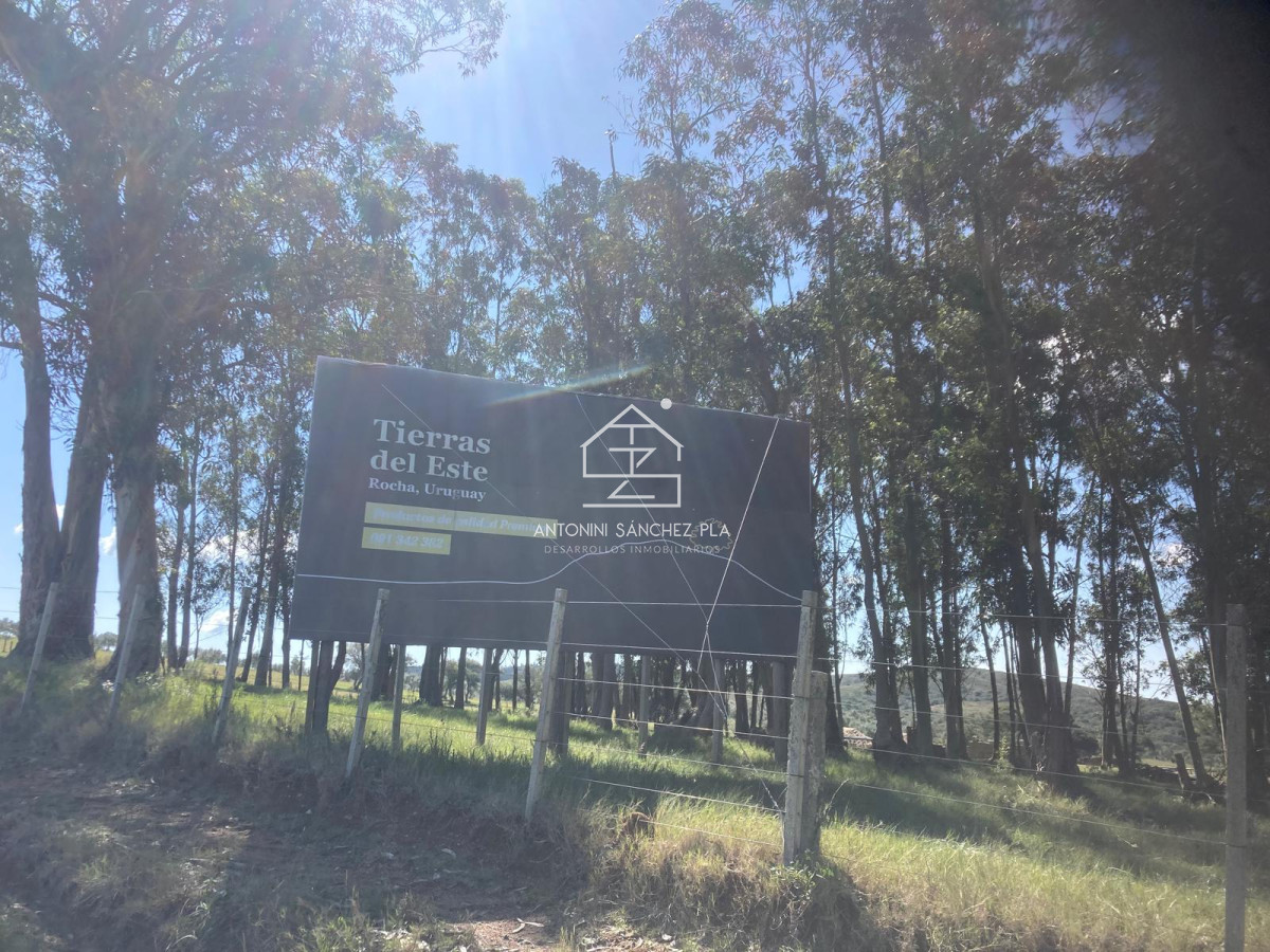 Campo Ref.4385 - Campo Cerro Aspero Rocha