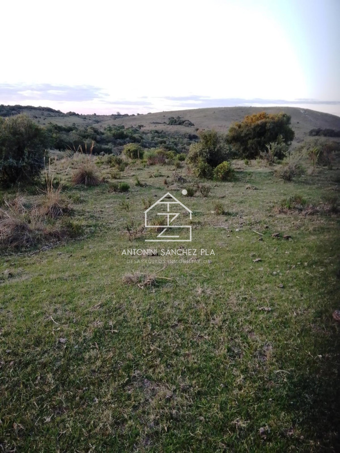 Campo Ref.4385 - Campo Cerro Aspero Rocha