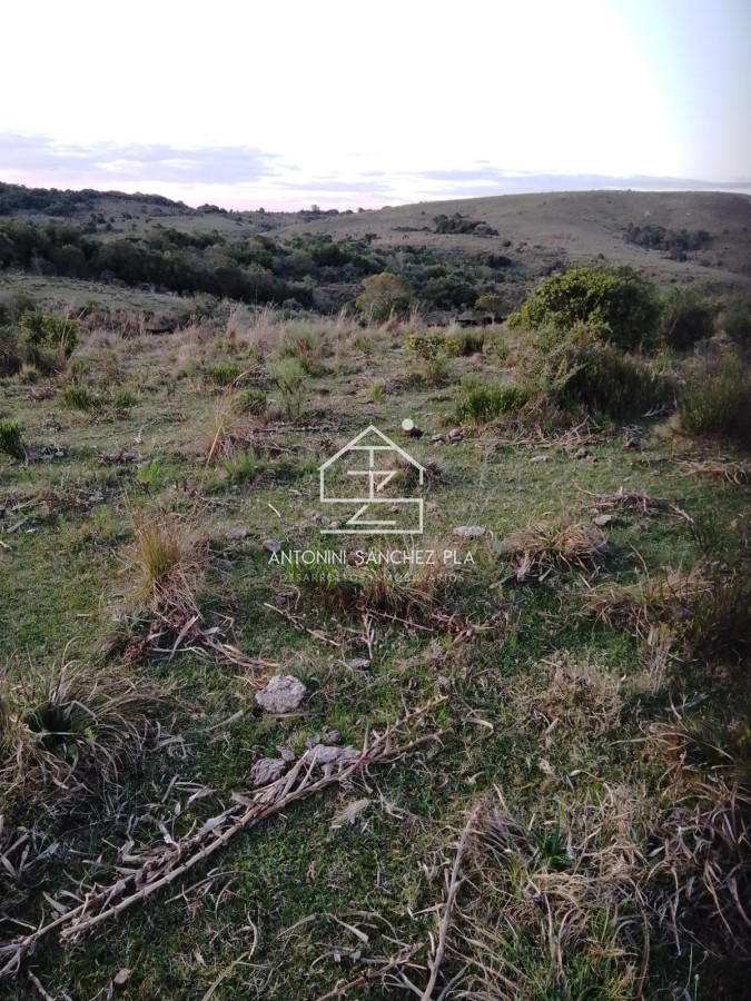 Campo Ref.4385 - Campo Cerro Aspero Rocha