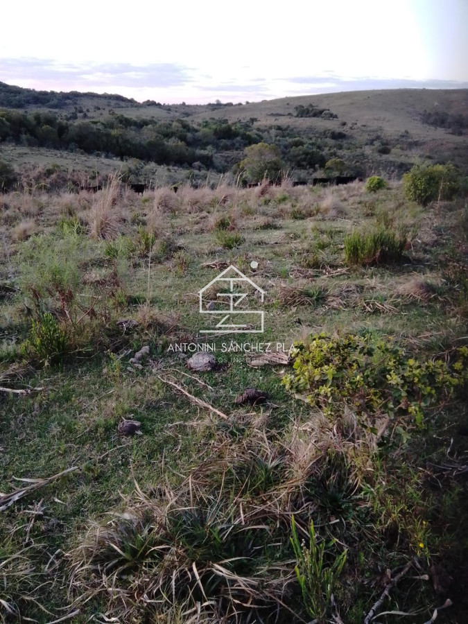 Campo Ref.4385 - Campo Cerro Aspero Rocha