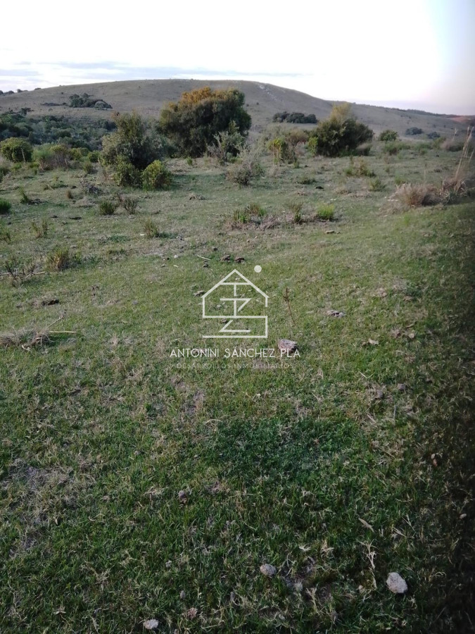 Campo Ref.4385 - Campo Cerro Aspero Rocha