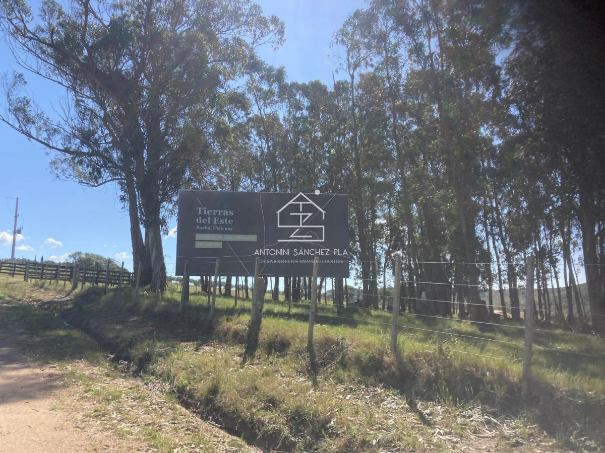 Campo Ref.4385 - Campo Cerro Aspero Rocha