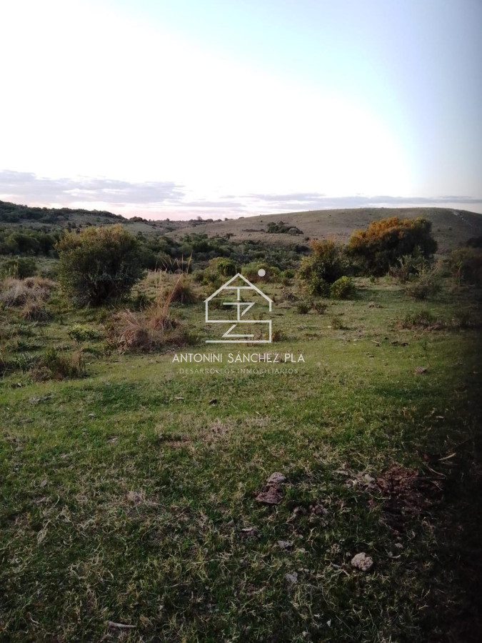 Campo Ref.4385 - Campo Cerro Aspero Rocha